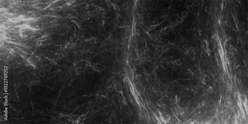 Abstract grayscale texture depicting interwoven, cloudy, and fibrous patterns resembling cosmic dust or neural filaments. Cosmic nebula or microscopic biological network seen through an electron