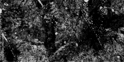 Abstract grayscale texture depicting interwoven, cloudy, and fibrous patterns resembling cosmic dust or neural filaments. Cosmic nebula or microscopic biological network seen through an electron
