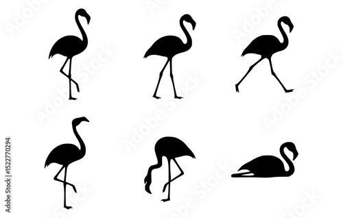 Elegant silhouettes of flamingos in various poses, perfect for minimalist design or nature-themed projects. These graceful birds showcase their iconic profile and poise.