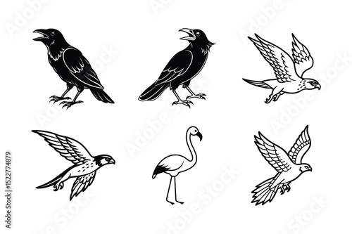 Majestic Birds Raven, Falcon, and Flamingo Illustrations