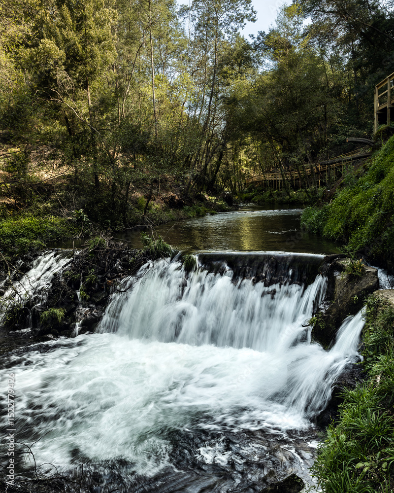 Fototapeta premium River stream alongside 