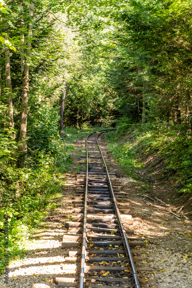 Obraz premium Narrow gauge railway in a mountain village. Rails and sleepers. Railway track. Nature in summer. Travel by train. Carpathians green grass