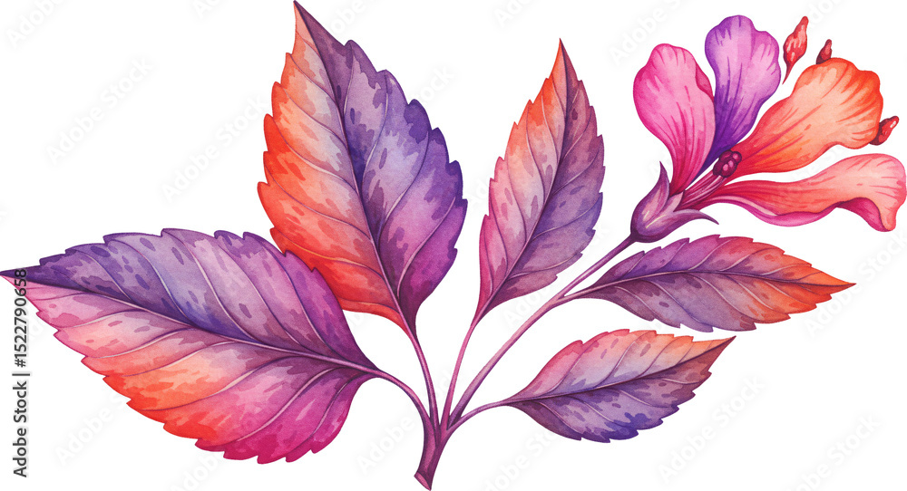 Fototapeta premium plant transparent background