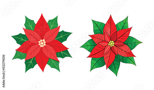 Two red poinsettia flowers christmas design elements