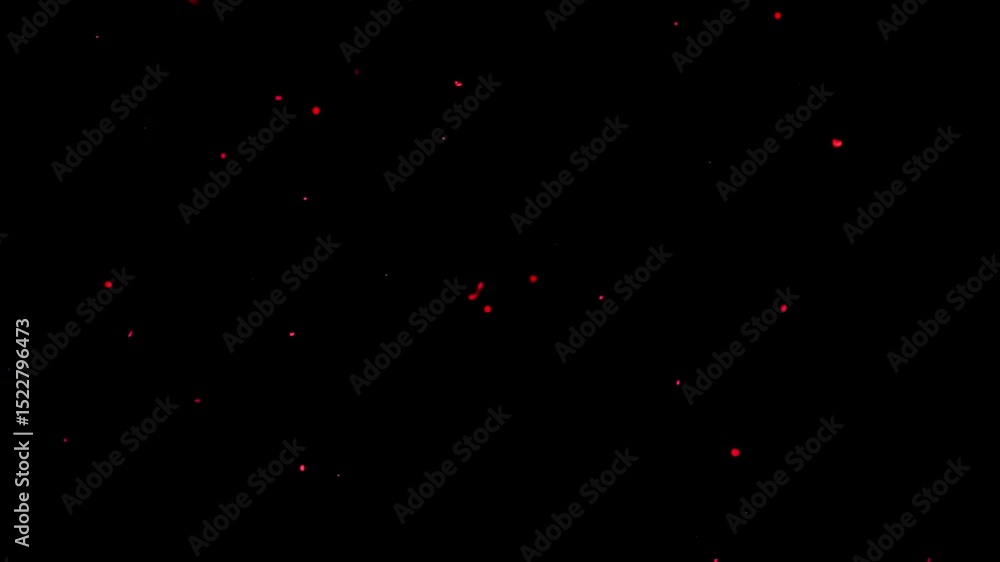 Particles of fire sparks rising through the screen on black background. Fire flame particles flying over black screen, Animation flow up glow orange red fire particles sparks 4K Particles of fire sparks rising through the screen on black background. Fire flame particles flying over black screen, Animation flow up glow orange red fire particles sparks 4K