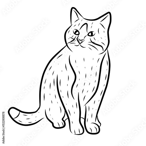 vector illustration of a cat