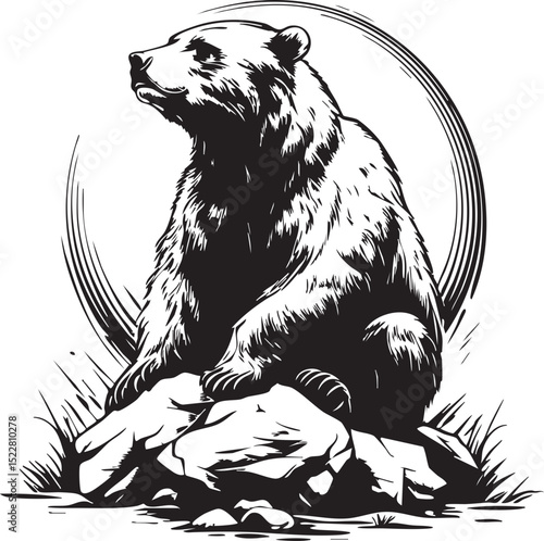 animal, sketch, mammal, vector, drawing, cat, illustration, nature, pet, fur, wildlife, black, hand drawn, wild, head, cute, dog, isolated, bear, white, shaggy, art, tail, kitten, predator