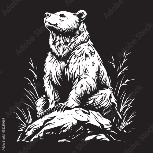 animal, sketch, mammal, vector, drawing, cat, illustration, nature, pet, fur, wildlife, black, hand drawn, wild, head, cute, dog, isolated, bear, white, shaggy, art, tail, kitten, predator