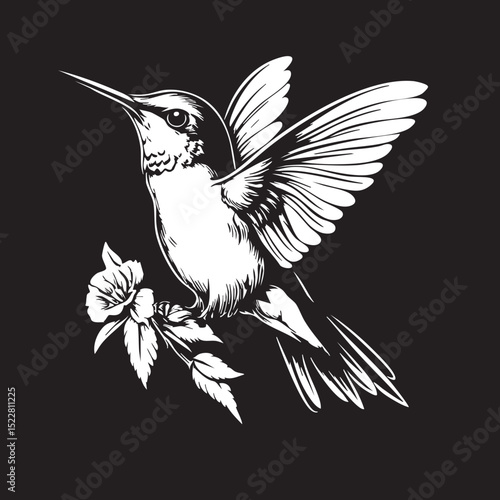 bird, vector, silhouette, animal, wing, flying, eagle, tattoo, illustration, nature, black, fly, wings, feather, hummingbird, design, symbol, art, beak, wildlife, crow, wild, dove, flight, freedom