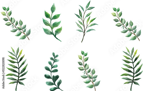 Leaf green bundle and vector file.