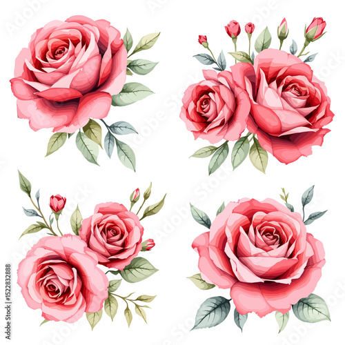 Watercolor rose flower clipart. Watercolour floral illustration
