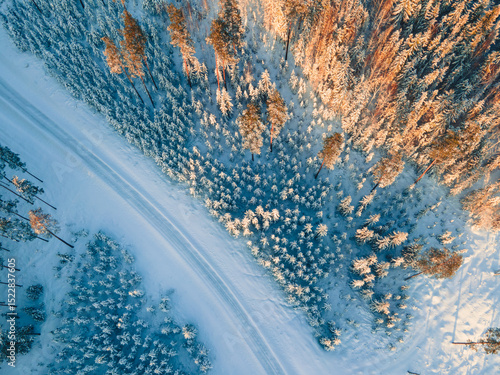 Captivating view of a vast snow-covered forest showcasing evergreens blanketed in white.
