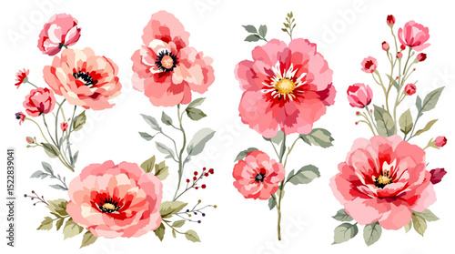 Watercolor wildflower set with daisies, forget-me-nots, cornflowers, poppies, bellflowers, and clover in botanical illustration