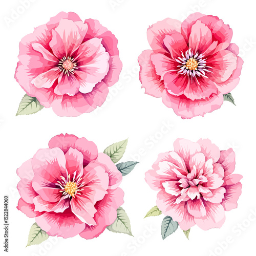 Wild flowers set, watercolor digital illustration.
