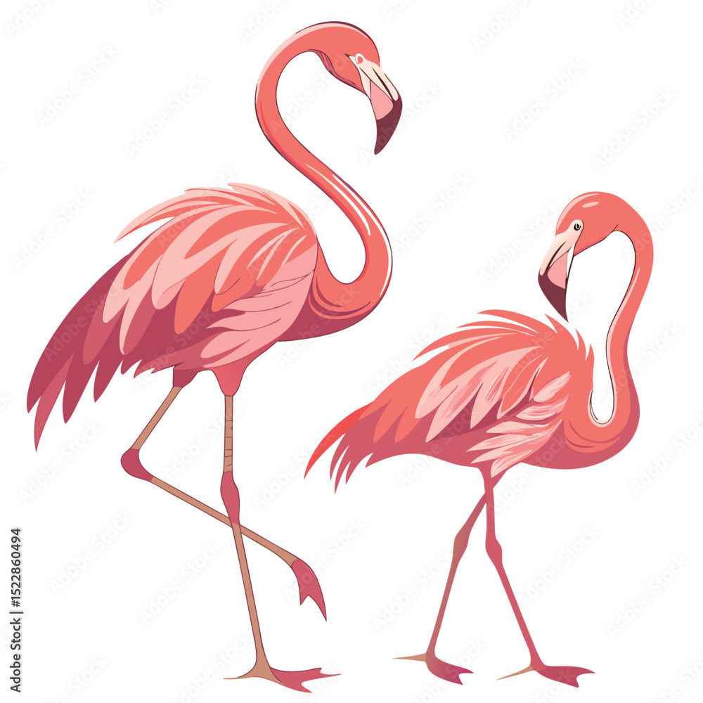 Obraz premium Elegant flamingos vibrant pink feathers long legs tropical birds avian fauna animal nature exotic