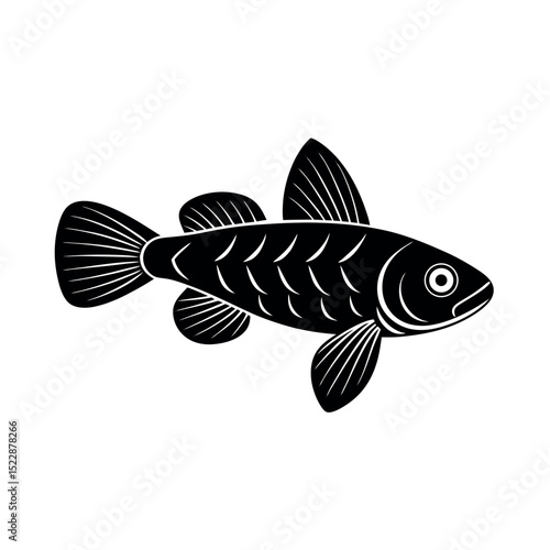 vector illustration of a fish