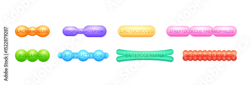 Collection Prebiotics. Good bacterial flora for intestine and stomach for designing dietary supplements healthy nutrition. Health care immunity. Vector EPS10.