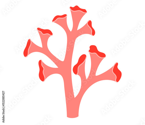 Pink сoral icon. Ocean plant, underwater flora, seaweed. Aquatic plant, algae, tropical coral-reef element. Flat vector illustration isolated on white background