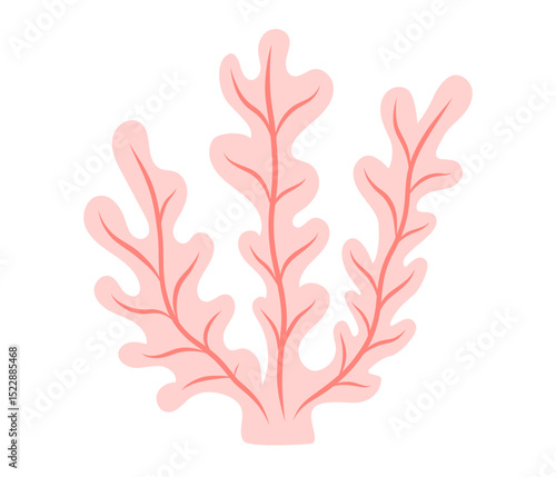 Pink Seaweed icon. Ocean plants, underwater flora, seagrasses. Aquatic plant, algae, tropical coral element. Flat vector illustration isolated on white background