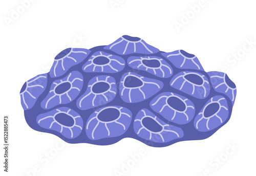 Sea barnacle. Ocean plant, underwater flora, coral, seaweed. Flat vector illustration isolated on white background