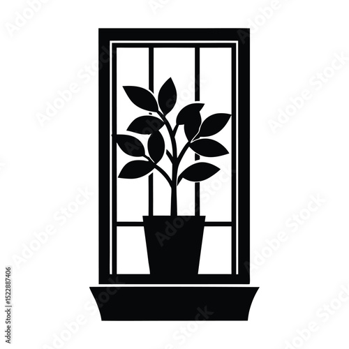 Flat sill plant in window silhouette