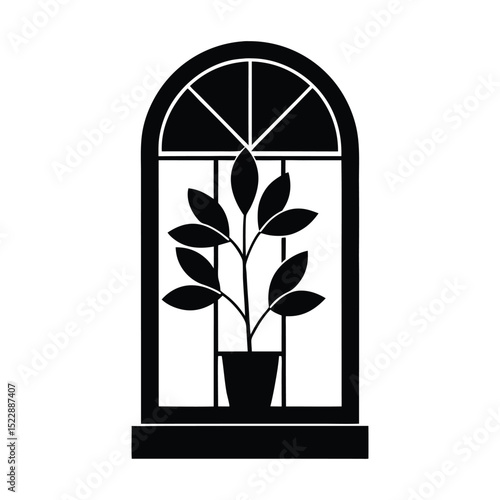 Flat sill plant in window silhouette
