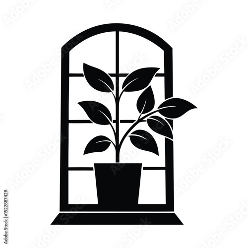 Flat sill plant in window silhouette