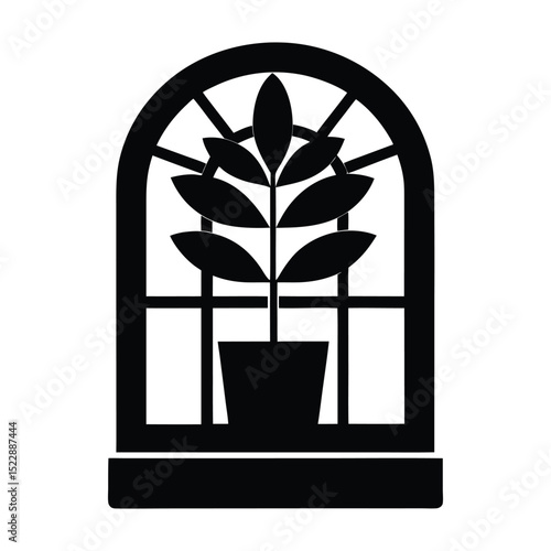 Flat sill plant in window silhouette