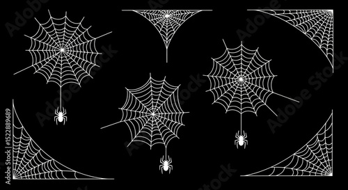 Collection of Spiderwebs and Spiders on a Black Background