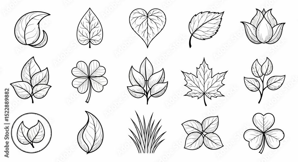 Nature Sketches: Variety of Botanical Leaves Line Art Illustration Nature Sketches: Variety of Botanical Leaves Line Art Illustration