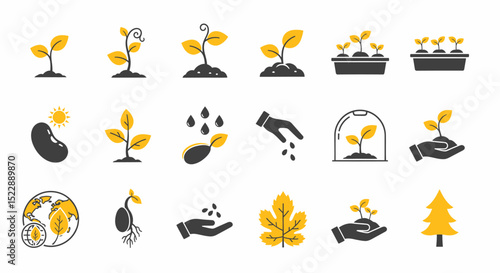 Growth Cycle Icons Set Seedlings and Plant Development