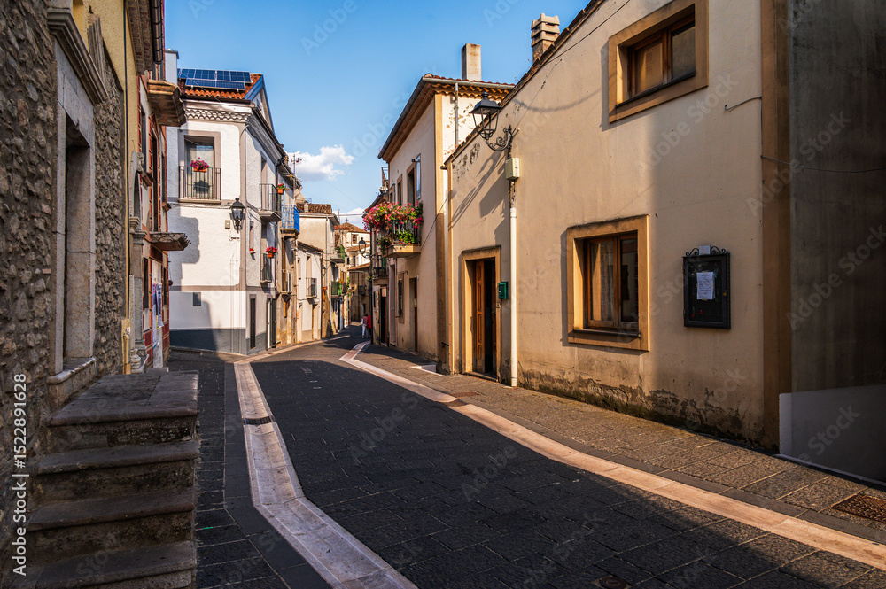 Fototapeta premium view of a characteristic village of Basilicata, Calvello