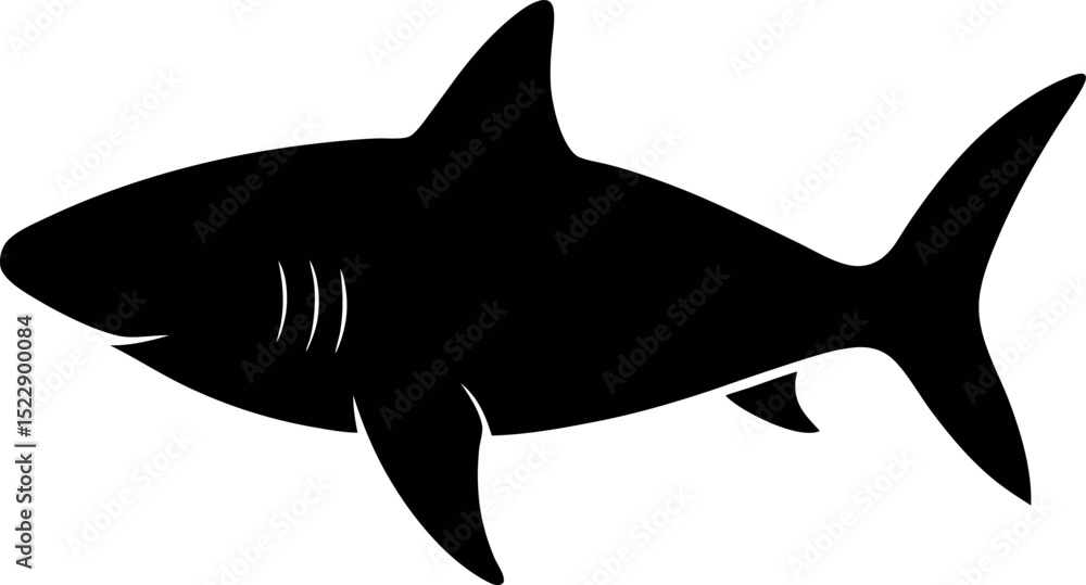 Fototapeta premium shark vector illustration