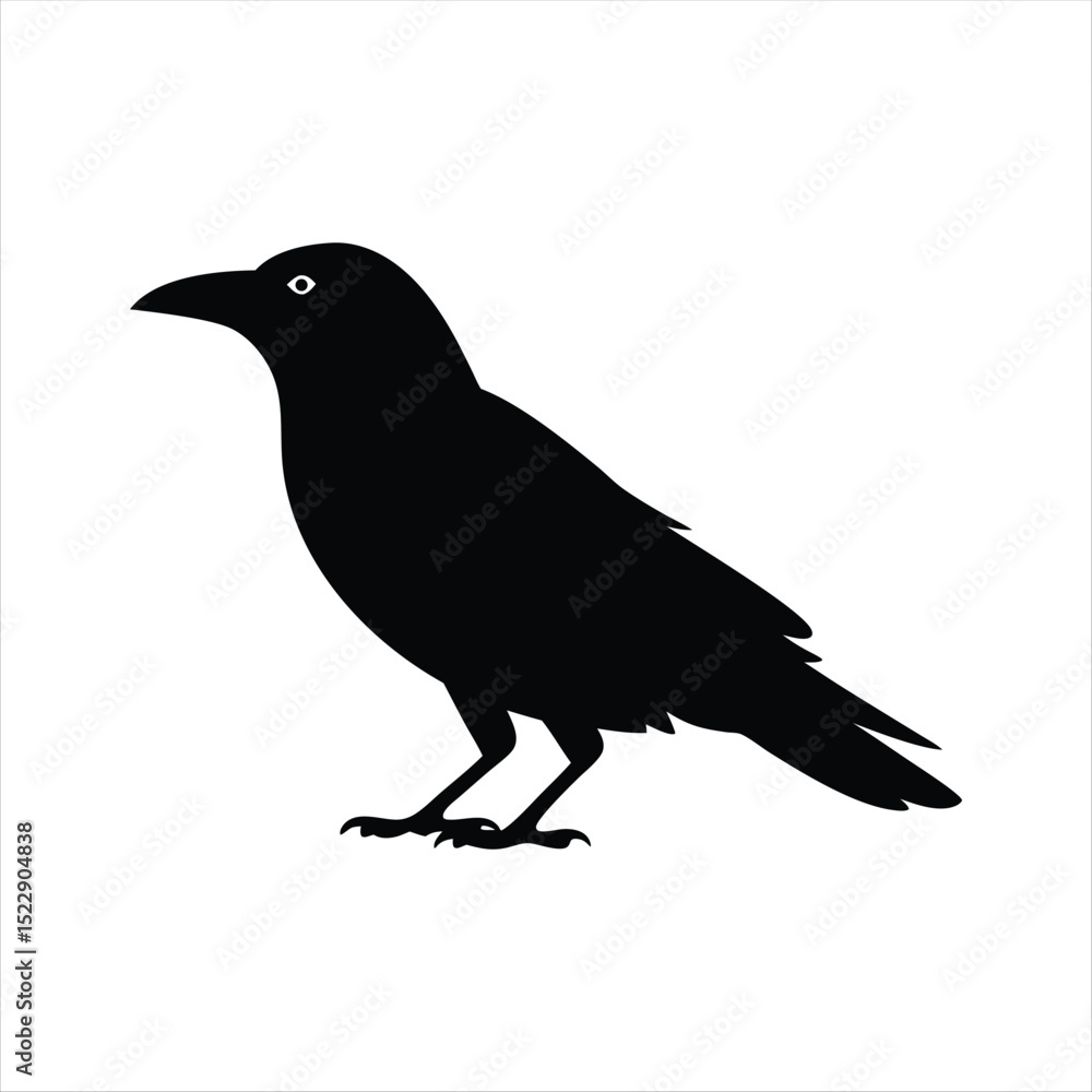 Silhouette of Crow Standing Isolated on White Background Silhouette of Crow Standing Isolated on White Background