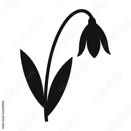 snowdrop silhouette on white background 