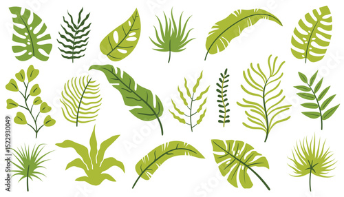 Set of tropical leaves and floral elements like palm, monstera, twigs, and branches in flat cartoon style.