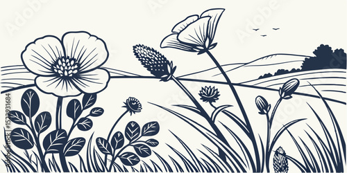Wildflowers in a rolling landscape illustration