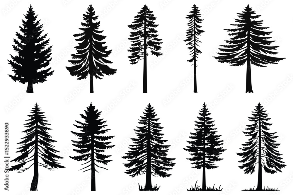 Fototapeta premium set of pine trees silhouettes vector design 