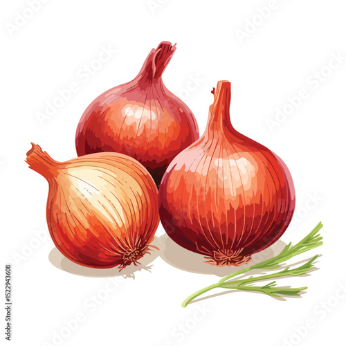 High-Quality Vector Illustration of Fresh Onion Vegetable for Culinary Designs