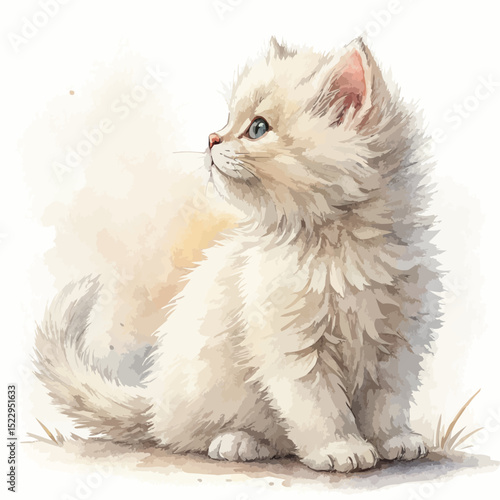 Fluffy white kitten with an inquisitive expression looking up against a muted background with copy space