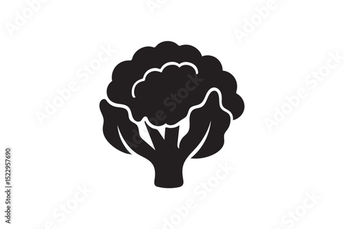 Cauliflower silhouette on white background.01