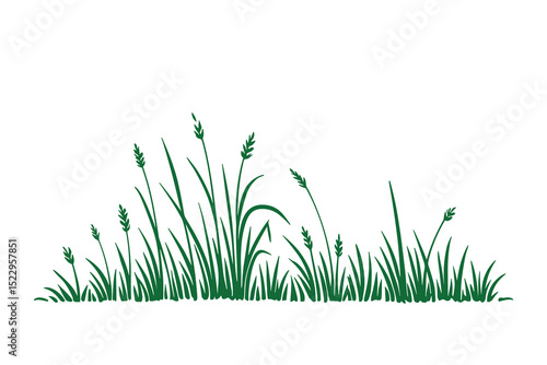 Detailed vector illustration of grass patch, perfect for landscape design and decoration projects.