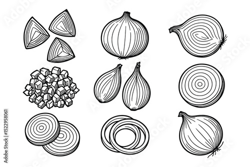Detailed vector illustration of an onion, slices, and dices in a black and white style.