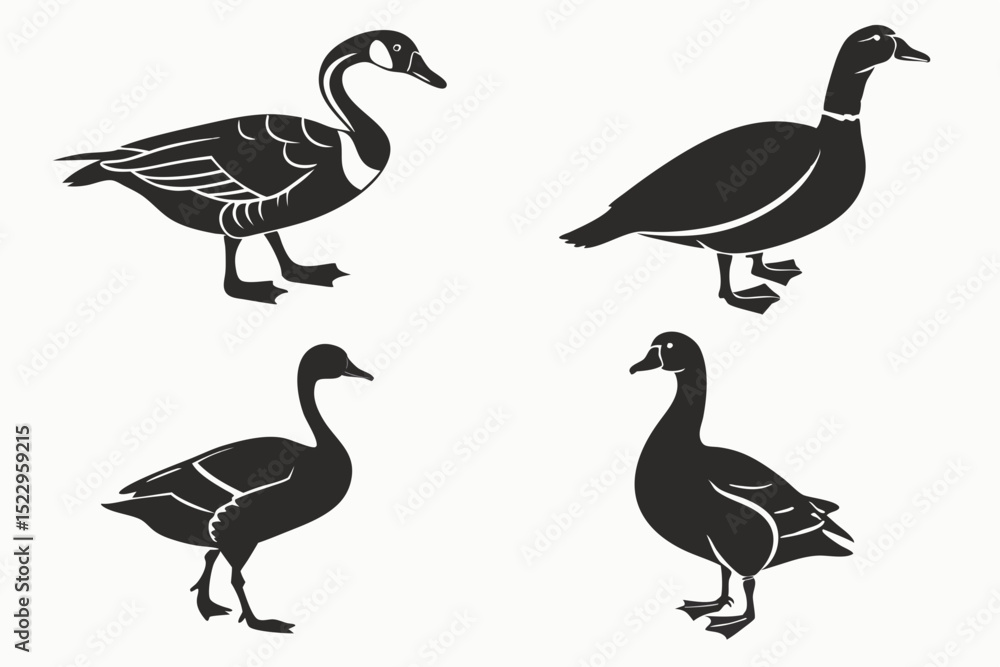 Fototapeta premium set of geese