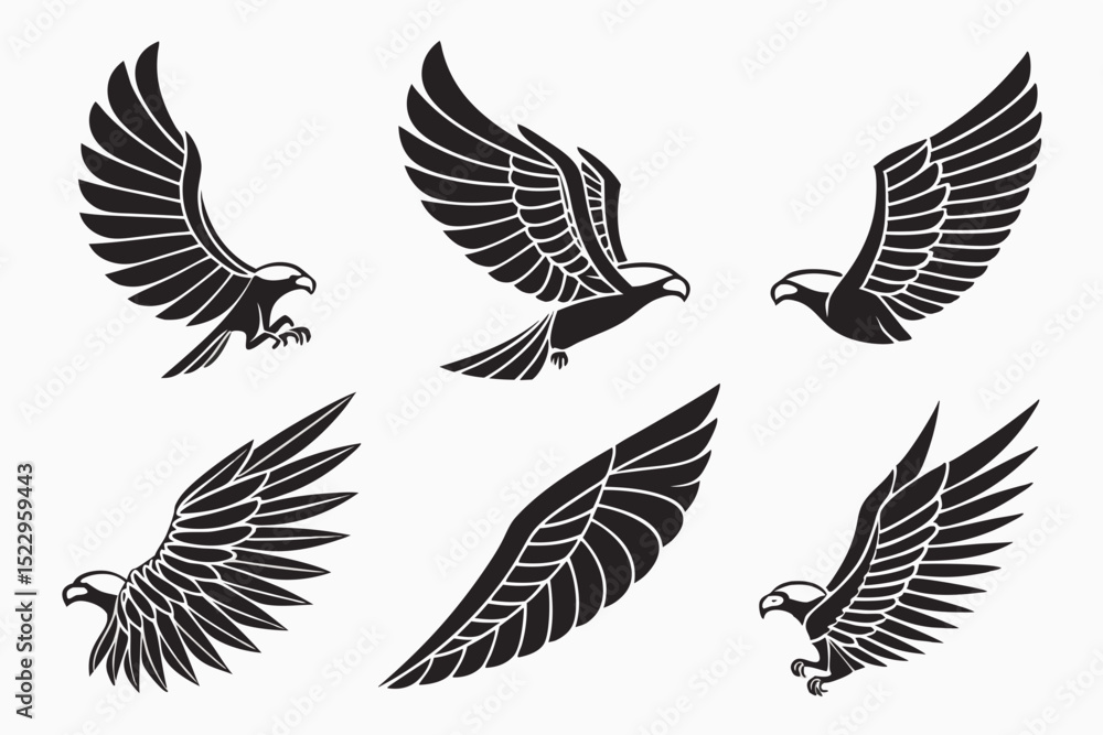 Obraz premium set of wings