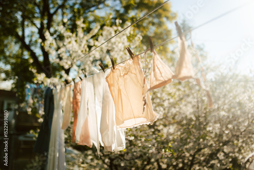Wallpaper Mural Clothes drying on a sunny clothesline in nature Torontodigital.ca