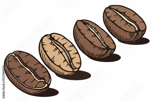coffee beans isolated on white