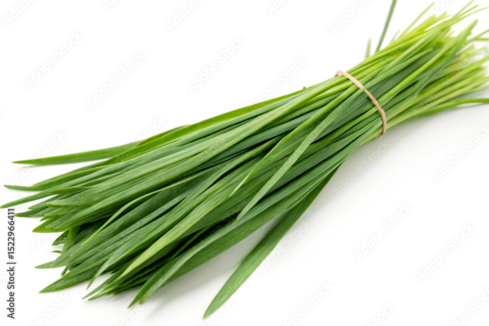 Fresh citronella grass blades isolated on white background Fresh citronella grass blades isolated on white background