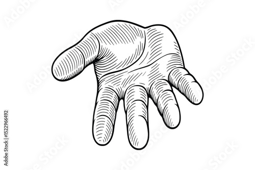 Detailed vector illustration of an open hand reaching out. Engraved style design graphic.