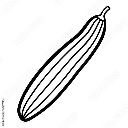 onion isolated on white